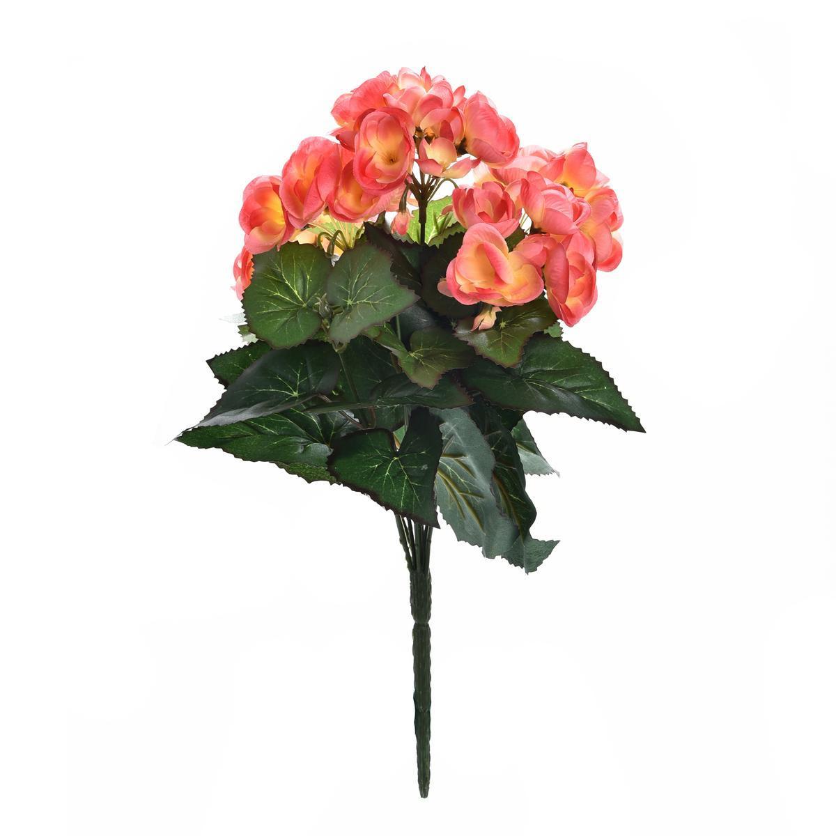 Bouquet de Begonnias - Différents coloris