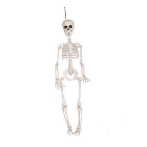 Squelette à suspendre - H 90 cm - C'PARTY