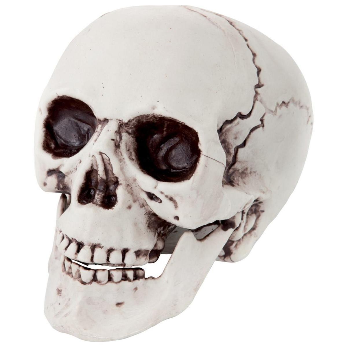 Crâne décoratif - H 18 cm - C'PARTY