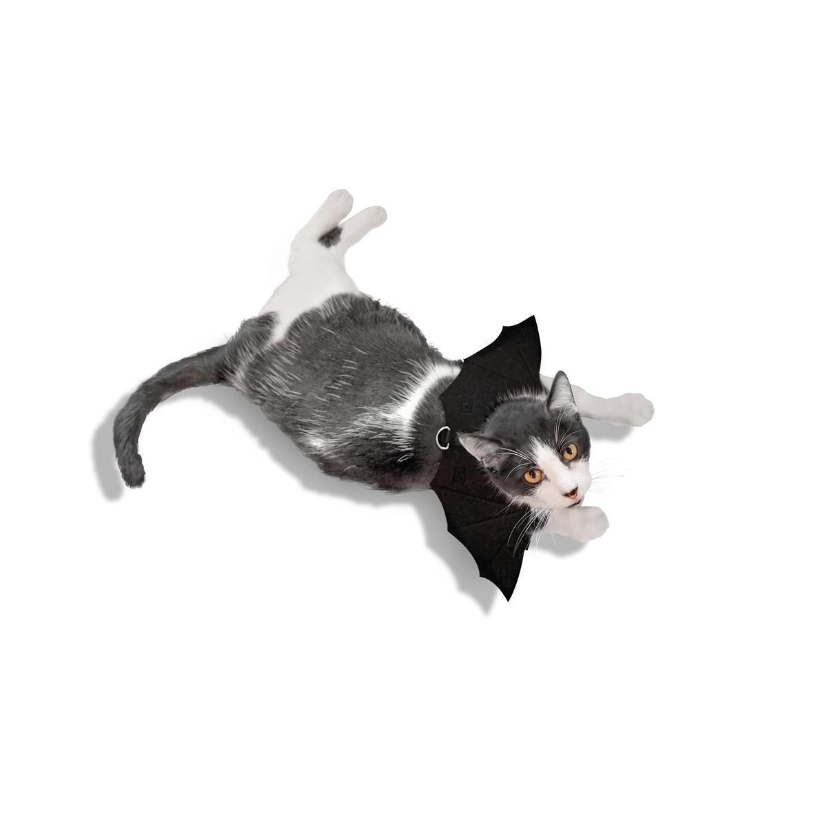 Déguisement de chauve-souris pour chat - Différents modèles - Noir