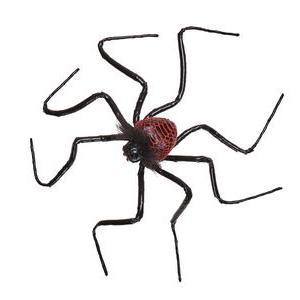 Araignée à pattes fines - 60 x H 12 cm - C'PARTY