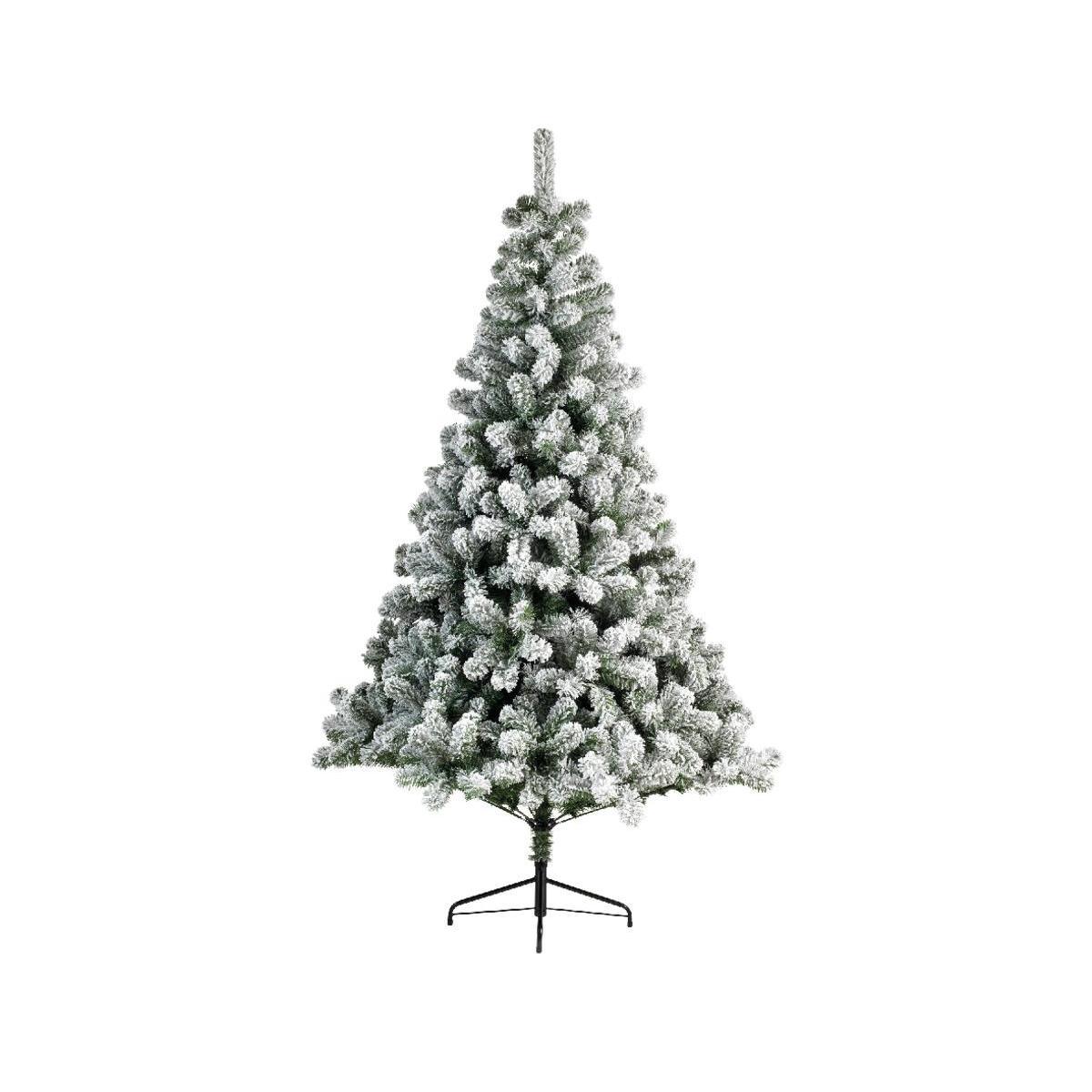 Sapin imperial enneigé nf