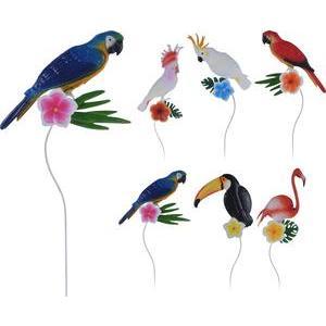 Oiseau tropical sur pique - 19 x H 72 cm - Différents modèles