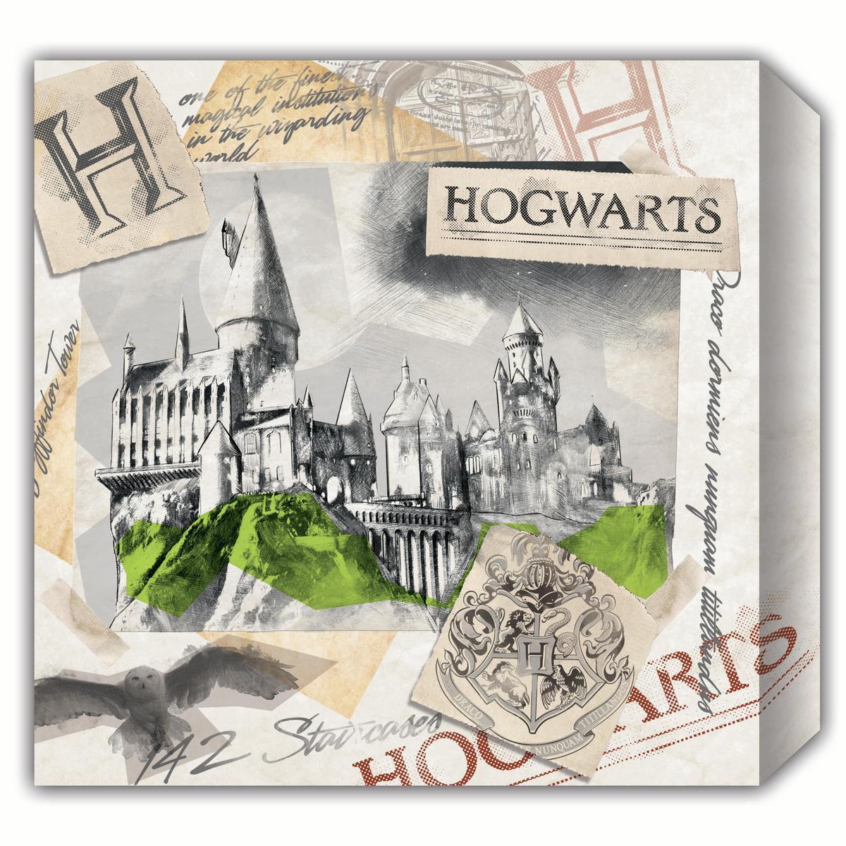Toile château Harry Potter - 28 x 1.5 x H 28 cm