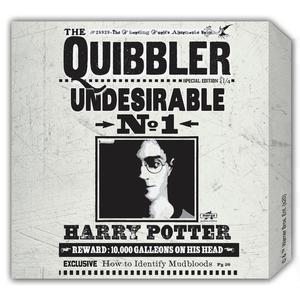 Toile journal Harry Potter - 28 x 1.5 x H 28 cm