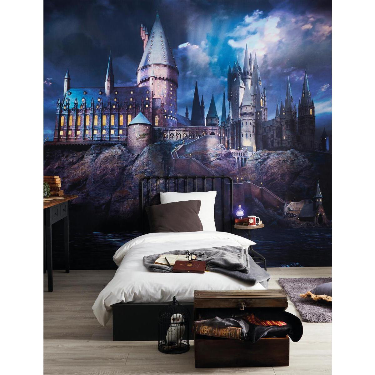 Poster géant Harry Potter - 320 x 275 cm