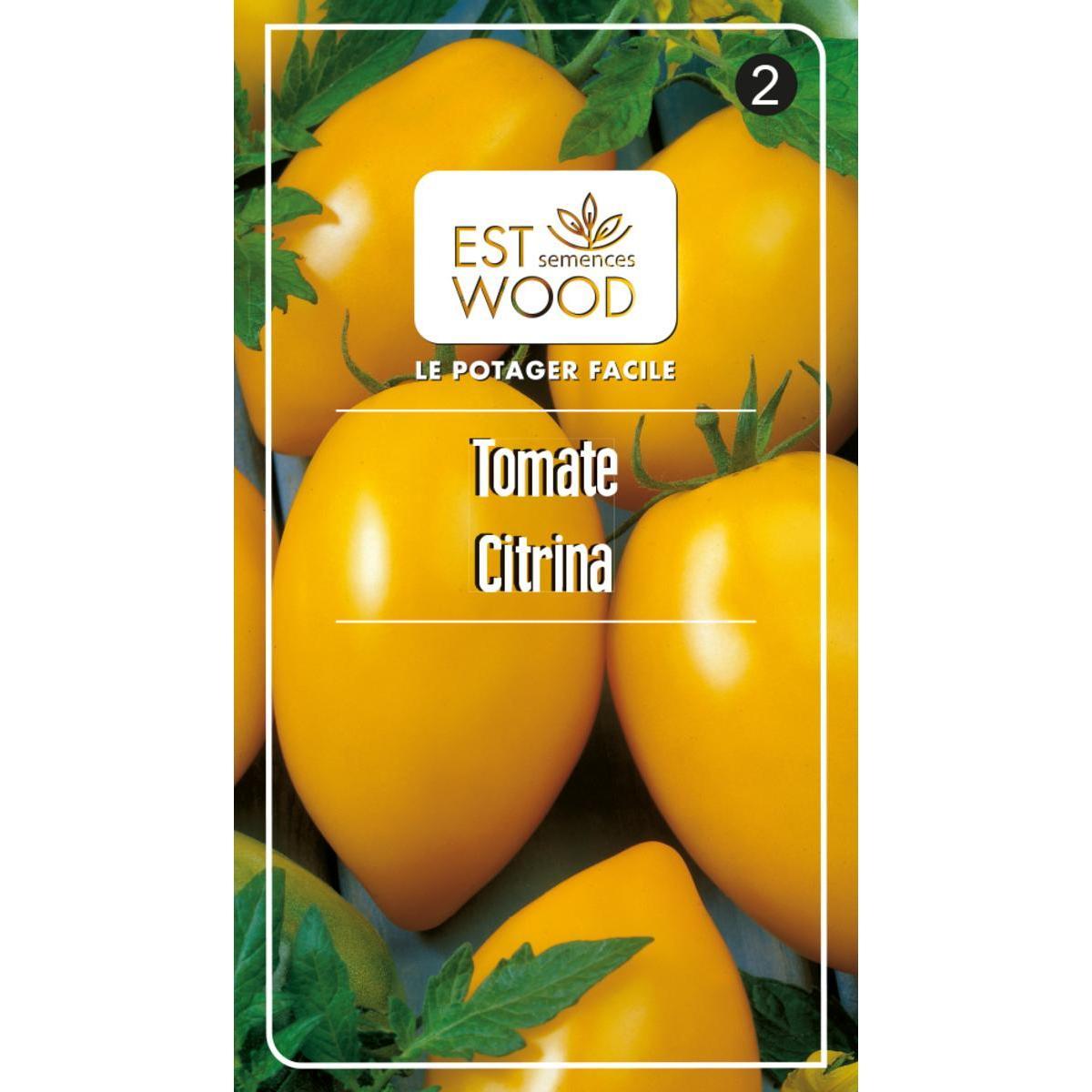 Semence végétale - 1 sachet de 14 x 8 cm - Tomate citrine