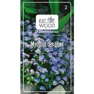 Semence végétale - 1 sachet de 14 x 8 cm - Fleurs de Myosotis