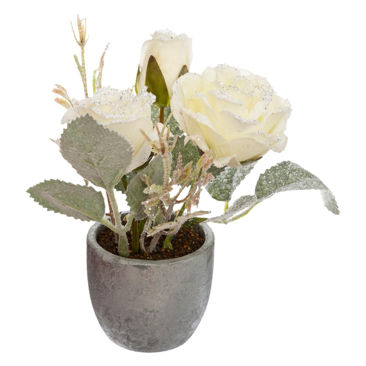 Pot fleurs blanches 14 cm