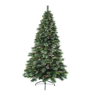 Sapin Wyoming H 210 cm