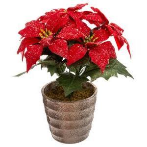 Bch poinsettia paill pot H 22 cm