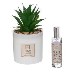 Coffret senteur cactus