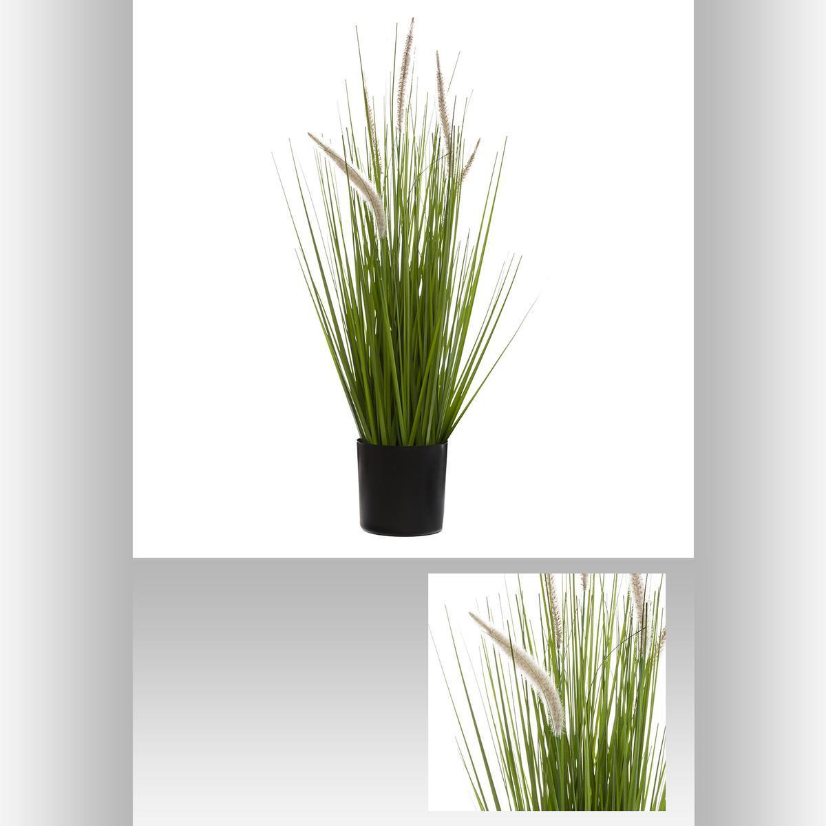 Bunch herbe + cat tails H 70 cm