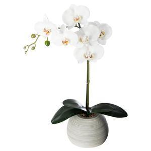 Orchidée artificielle - H 53 cm - Blanc, vert