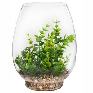 Plante terrarium vase verre H 25