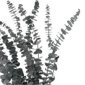 Bouquet d'eucalyptus séché - L 60 à 70 cm - Différents coloris - Bleu, vert ou rouge bordeaux - K.KOON