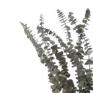 Bouquet d'eucalyptus séché - L 60 à 70 cm - Différents coloris - Bleu, vert ou rouge bordeaux - K.KOON