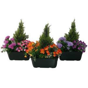 Jardinière de cyprès, chrysanthèmes et roses - H 40 cm - Différents modèles