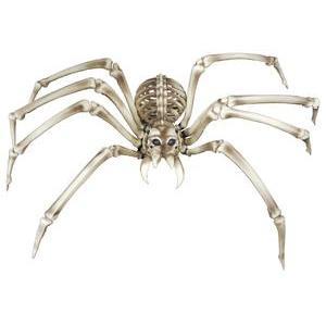 Squelette d'araignée XXL - 48 x L 22 x H 82 cm - Beige