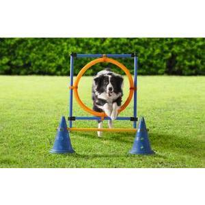 Cerceau d'entraînement pour chien - 112 x 65 cm - Bleu et orange - Spot & flash