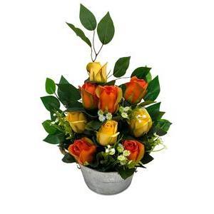 Pot de roses et ficus - H 24 cm