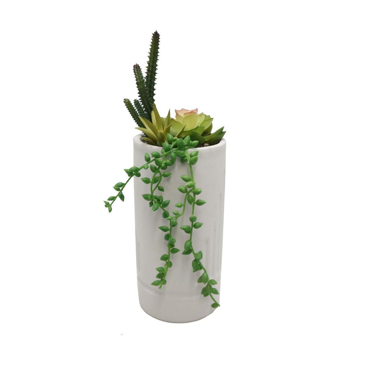 Succulentes artificielles - H 27 cm