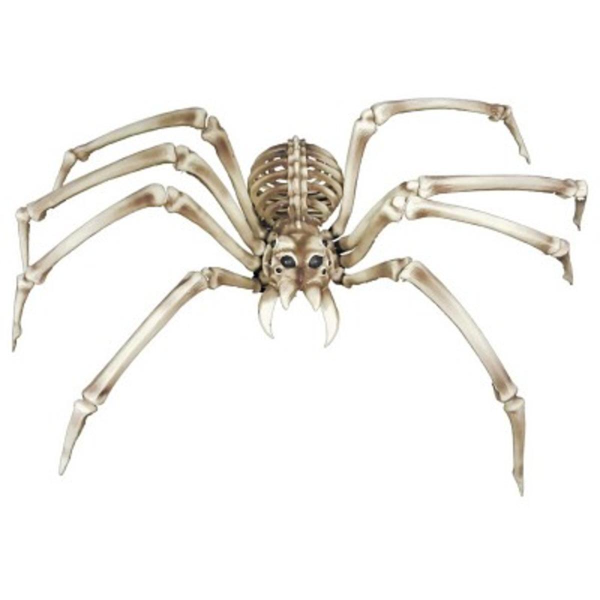 Squelette araignée géante - H 82 cm - C'PARTY