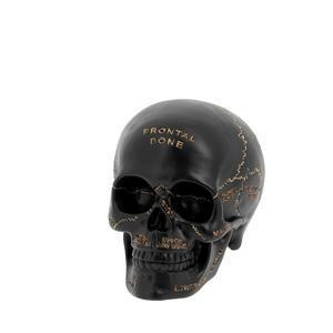 Crâne en résine - H 13 cm - Noir - C'PARTY