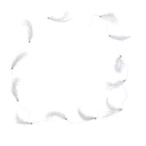 Guirlande de plumes - L 180 cm - Blanc - FAIRY STARS