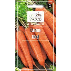 Semences de carottes Koral - 1 sachet