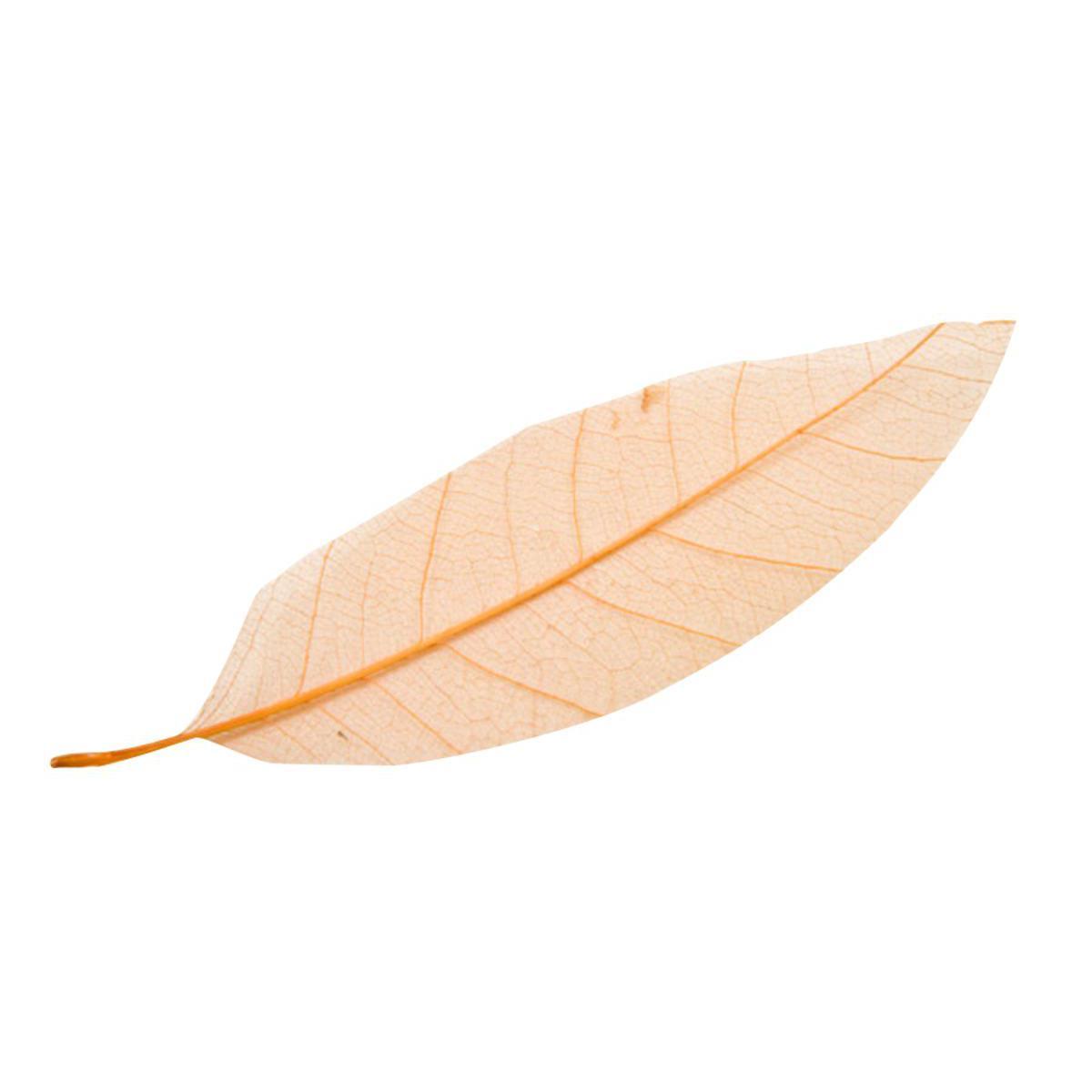 12 feuilles naturelles décoratives - 13 cm - Orange