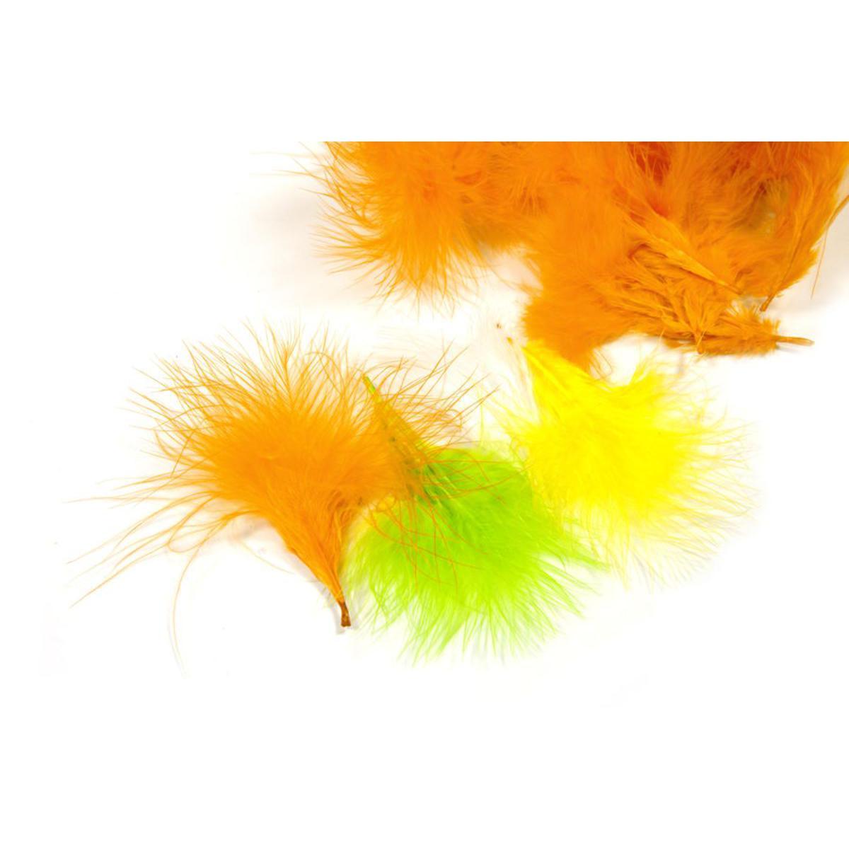 Plumettes (10 gr.) - Plume - Orange