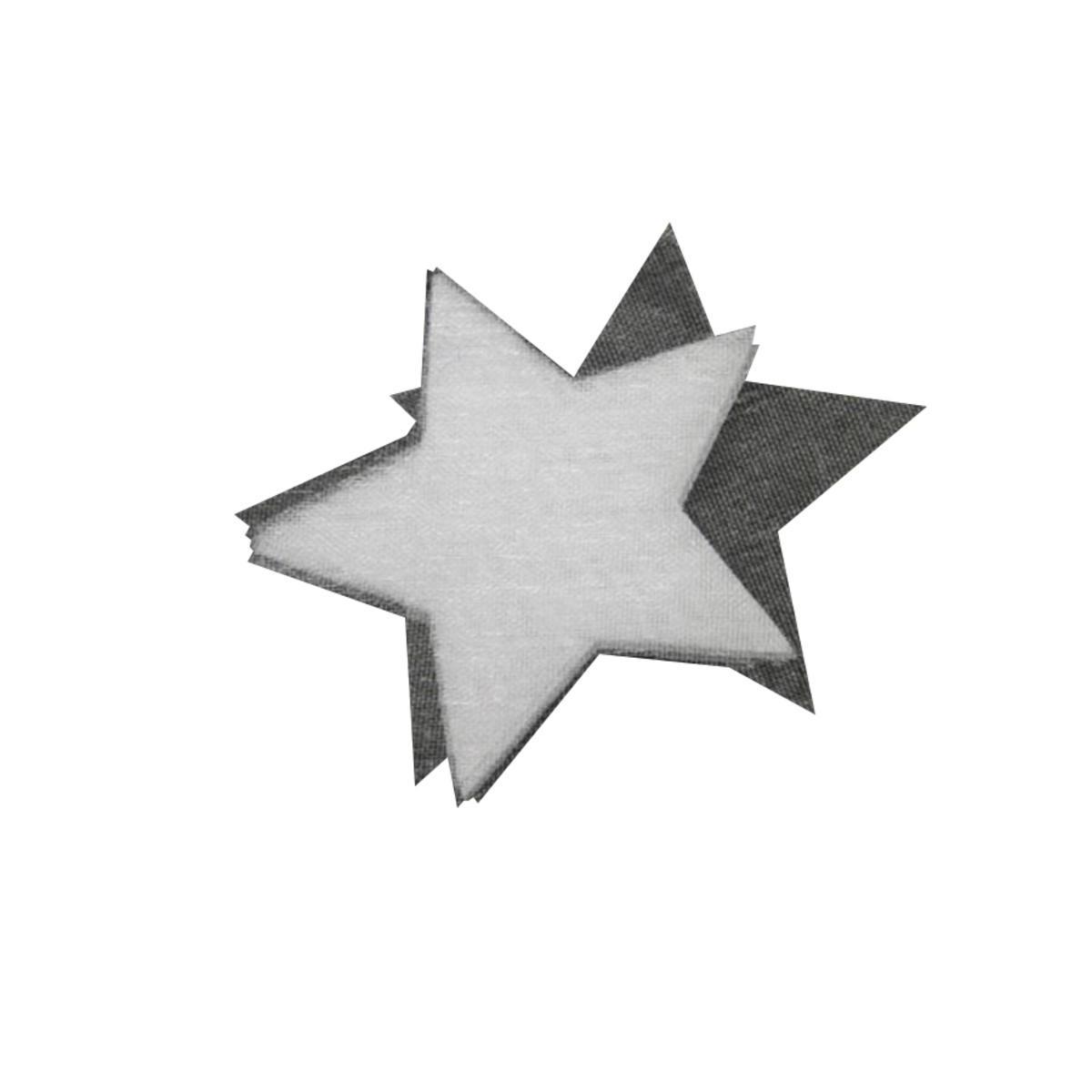 Lot de 50 étoiles en organza - Diamètre 5 cm - Blanc