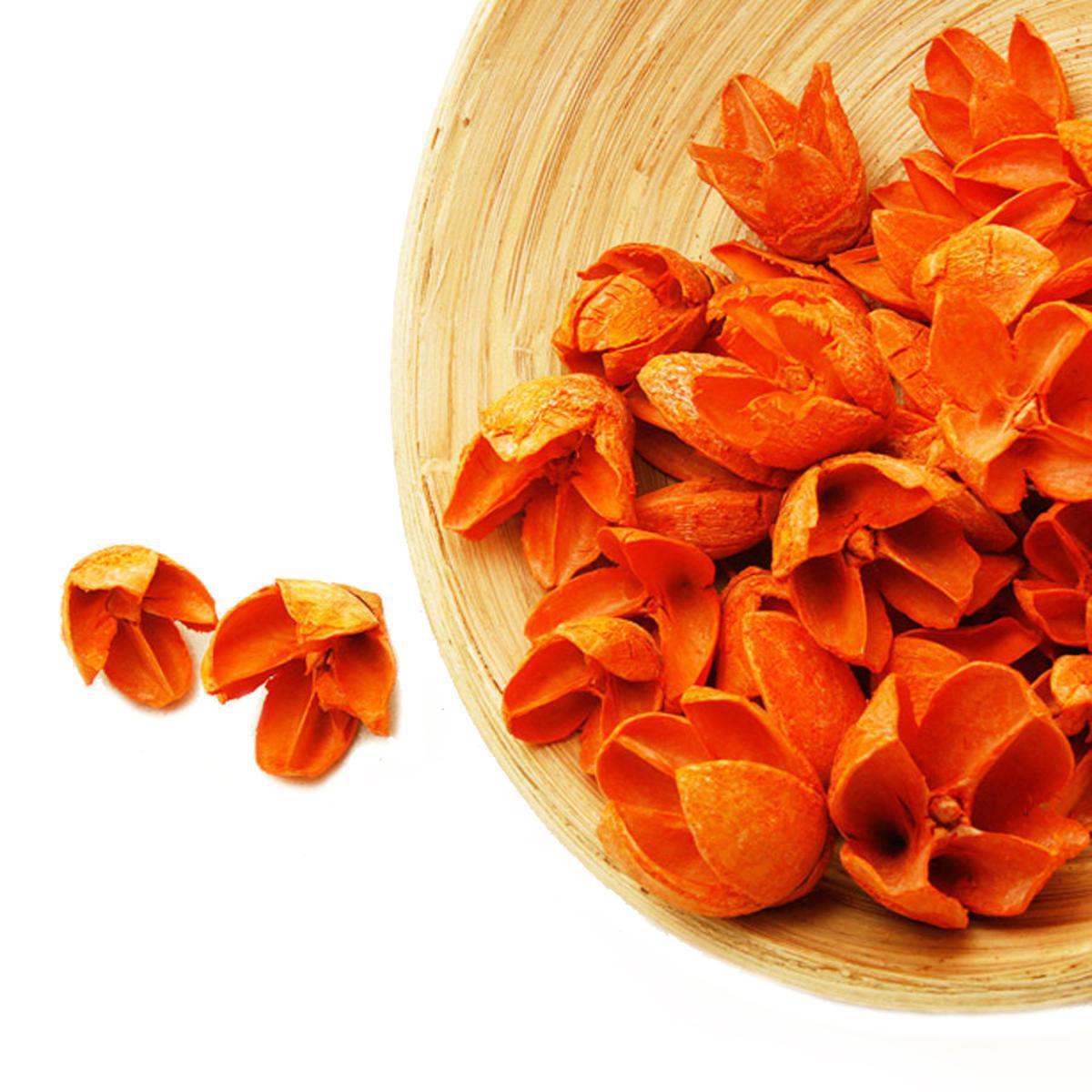 Graines de hêtre décoratives - Végétal - ø 3 cm - Orange