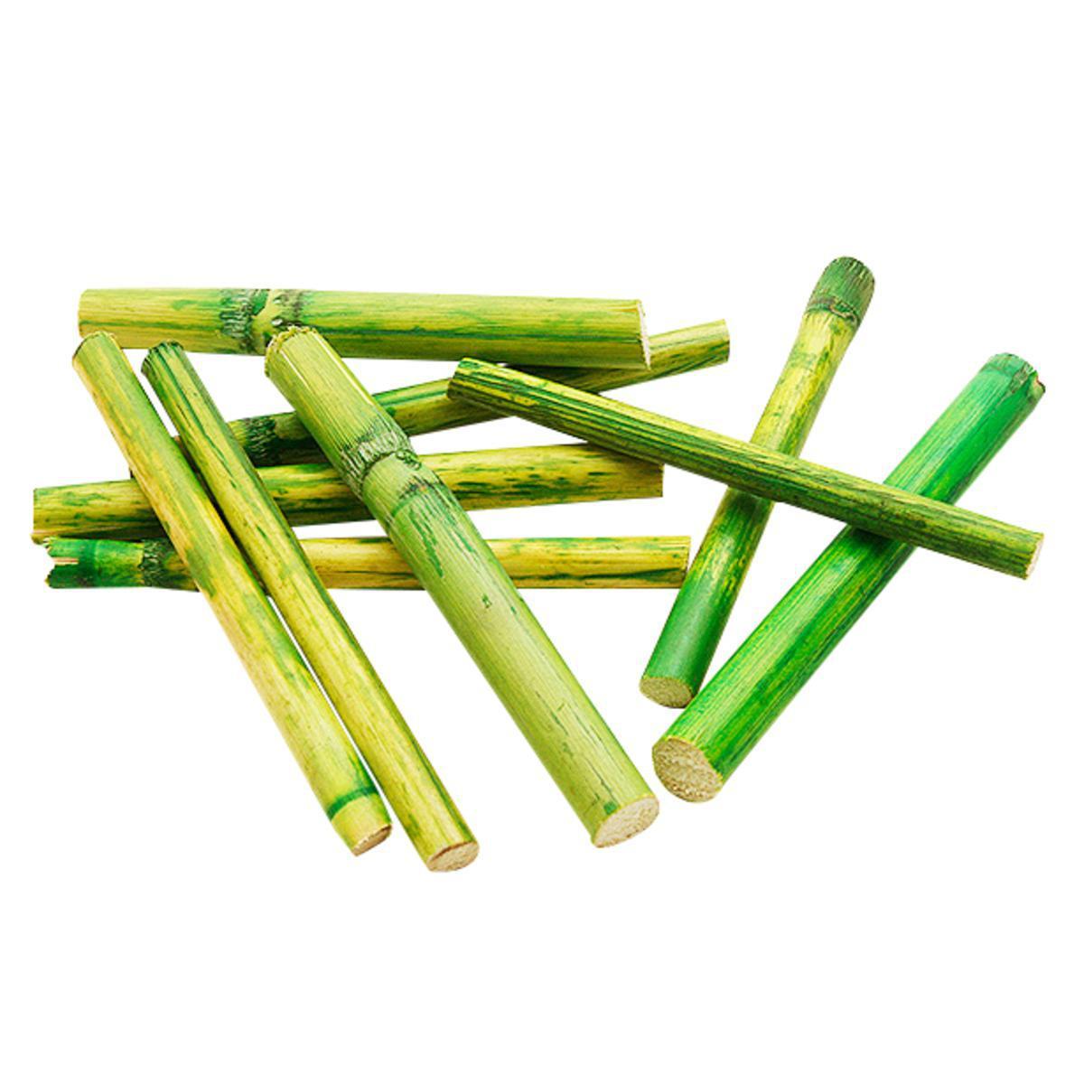 Lot de 12 petites tiges de bambou décoratives - Hauteur 8 cm - Vert menthe