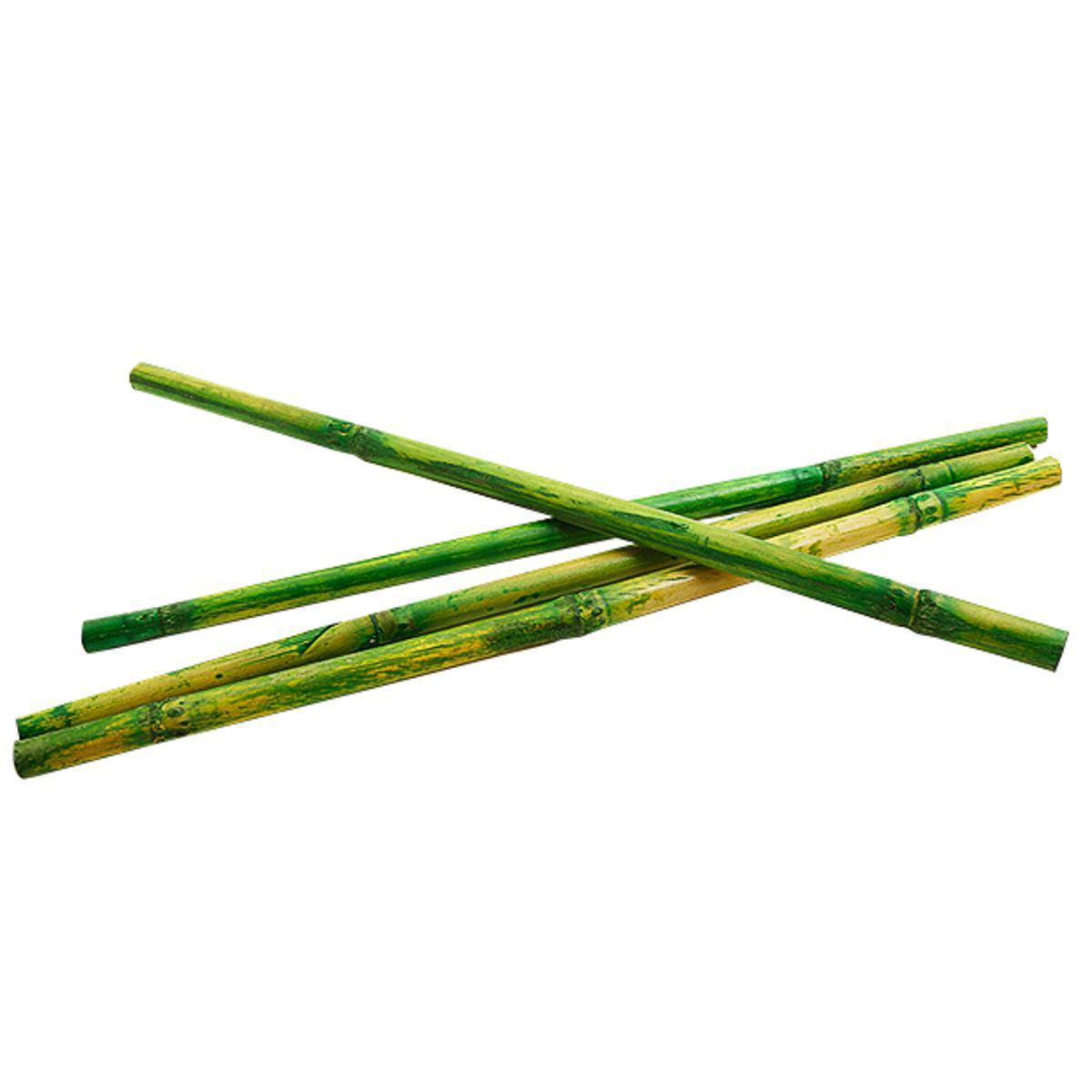 Lot de 12 tiges de bambou décoratives - Hauteur 25 cm - Vert menthe