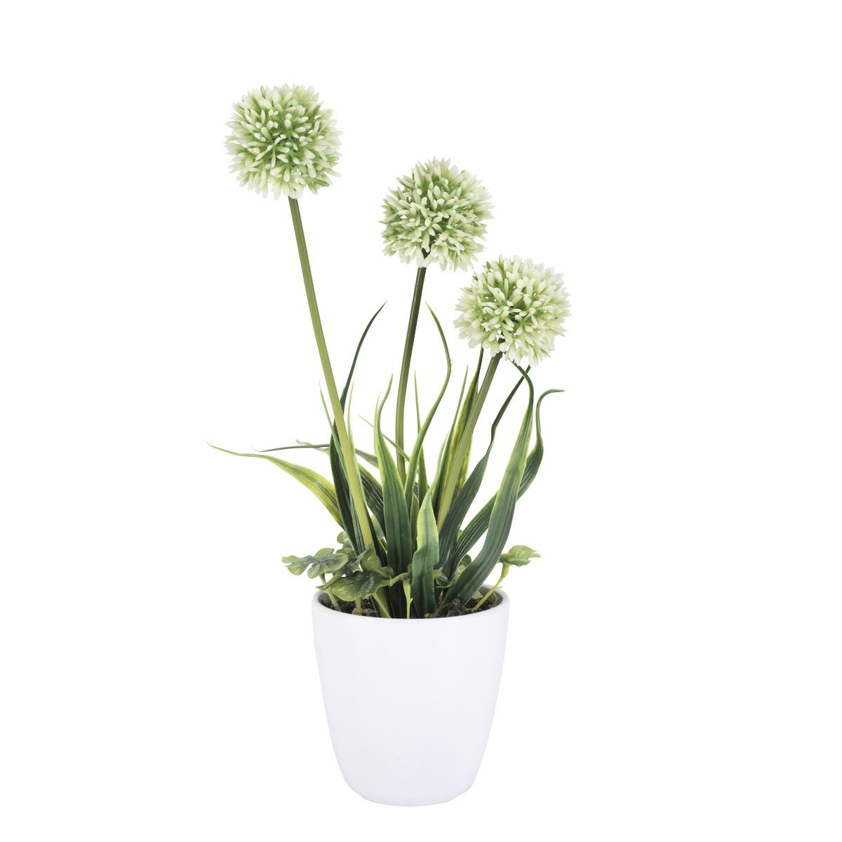 Fleurs de printemps en pot plastique - H 33 cm - Différents modèles