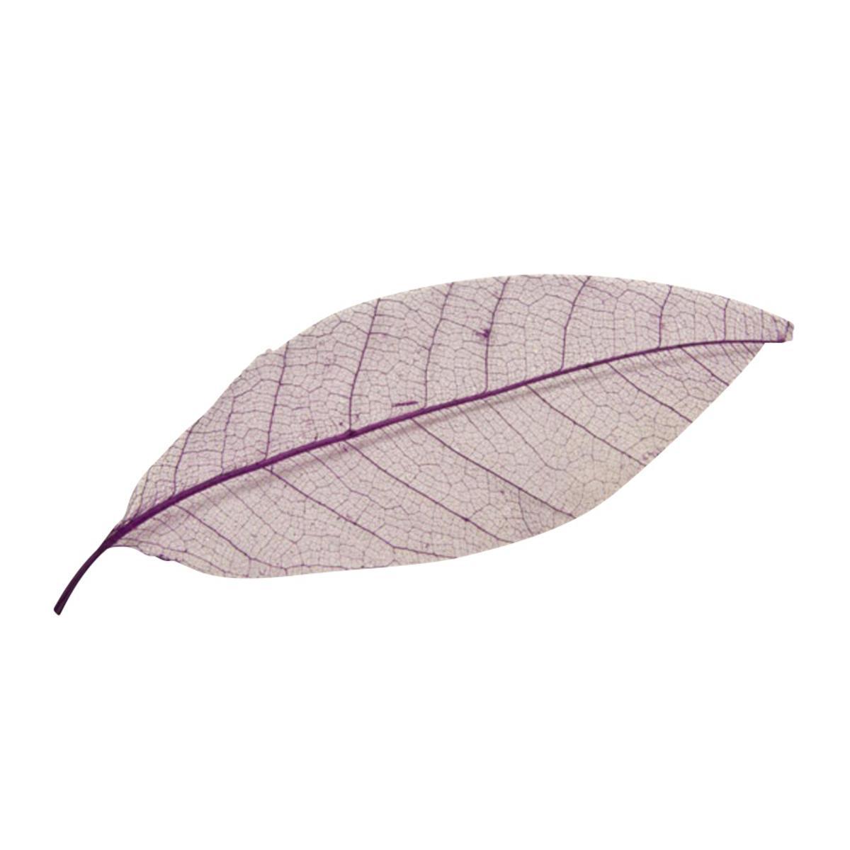 12 feuilles naturelles décoratives - 17 cm -Prune