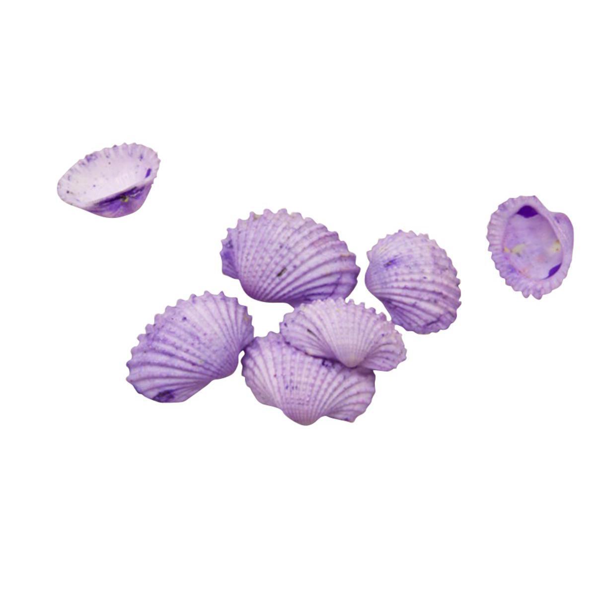 Sachet de Coquillages décoratifs - Coquillage - 20gr - Violet