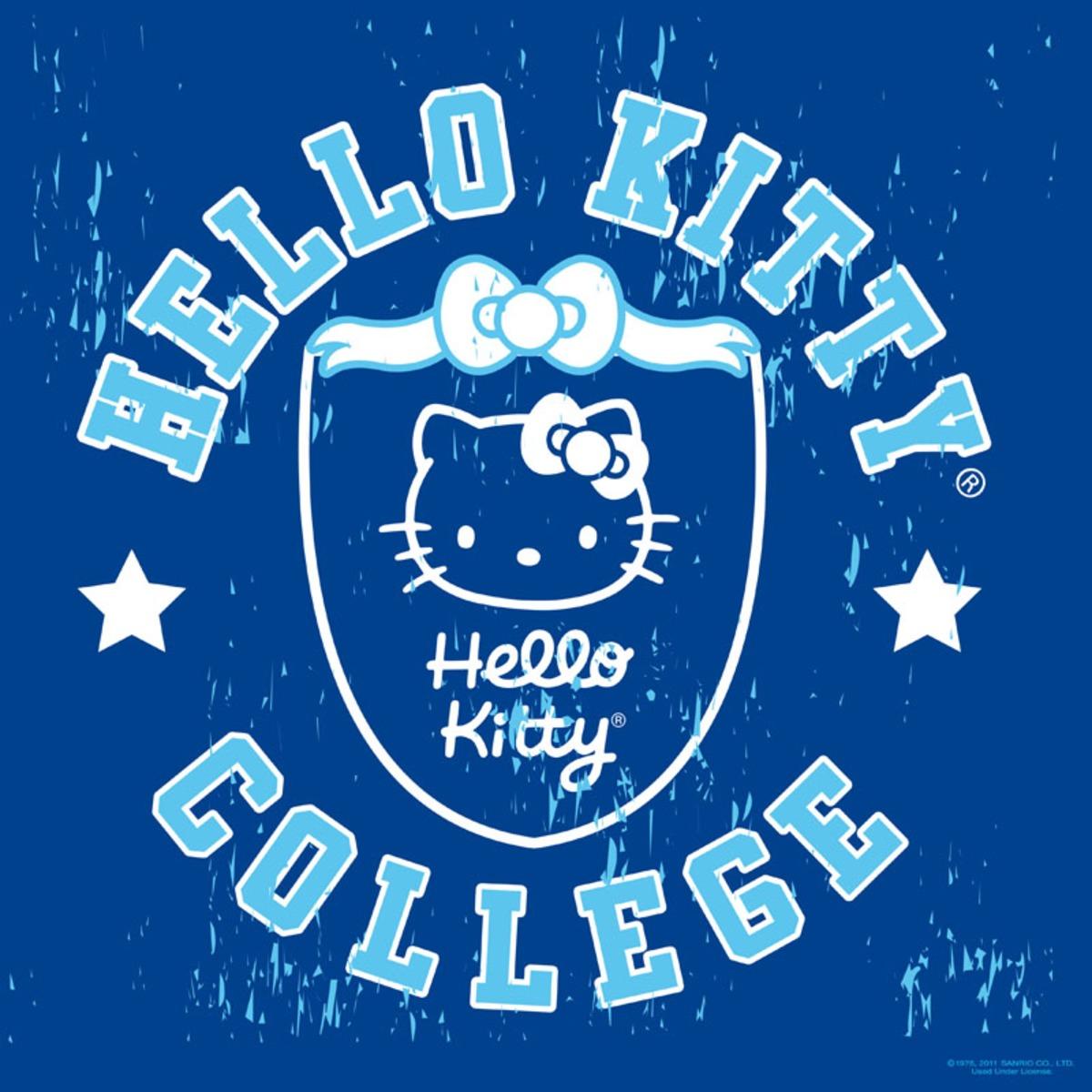 Toile imprimée - 30 x 30 cm - Hello Kitty