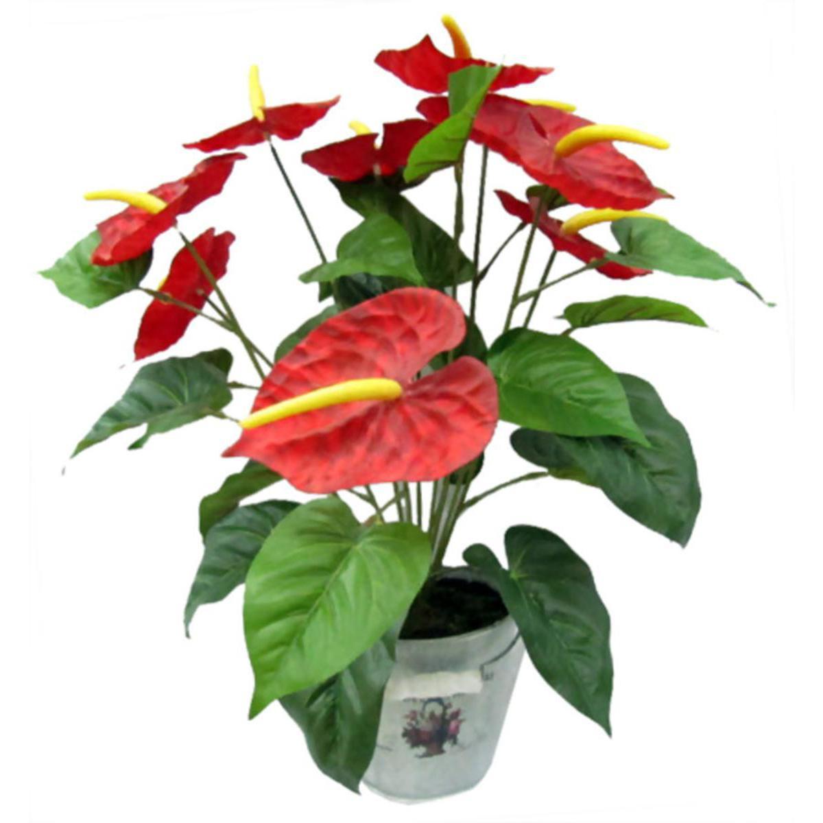 Composition de 9 anthurium en pot- Plastique - H 50 cm - Rose Beige