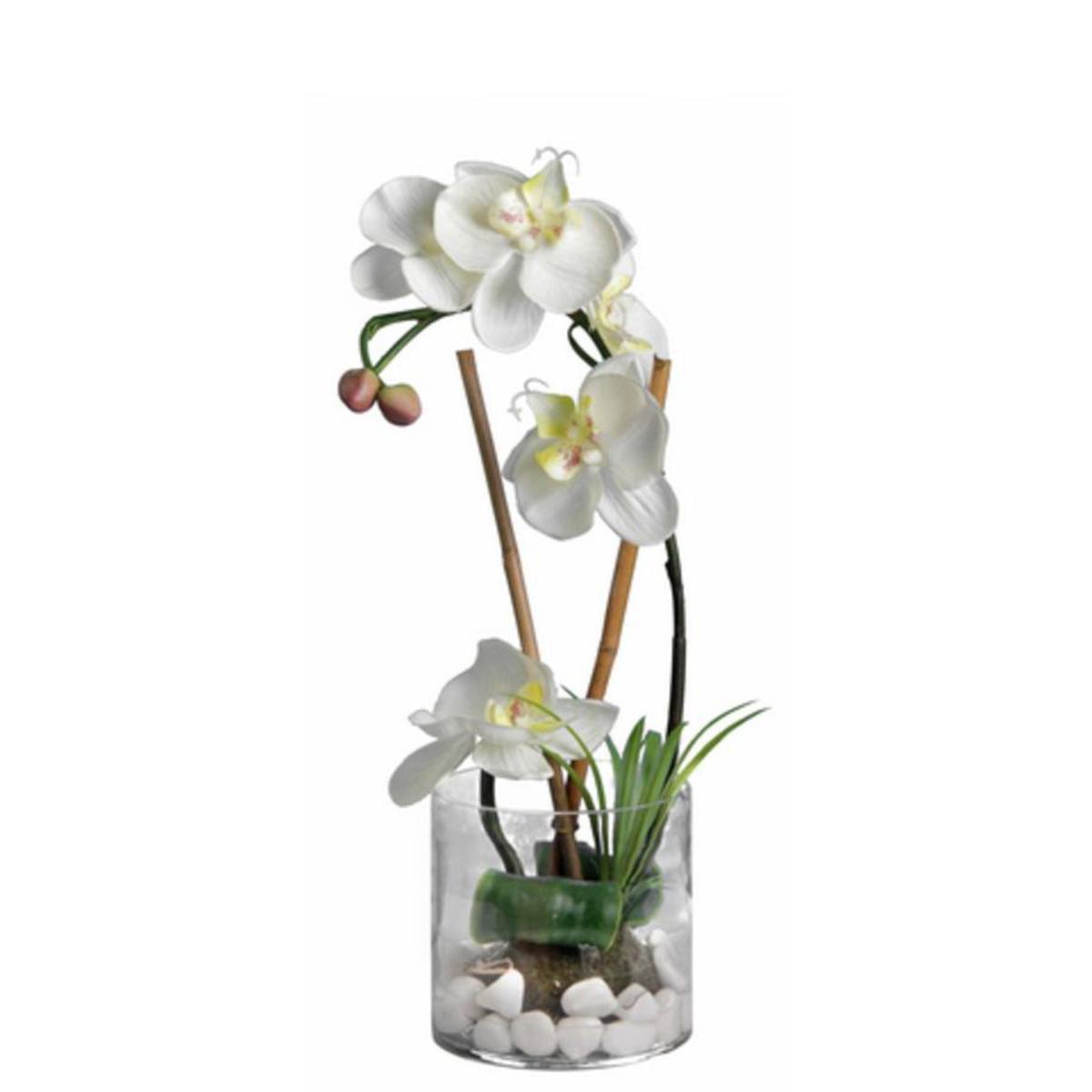 Orchidée en vase - Verre plastique polyester - H 36 cm - Blanc