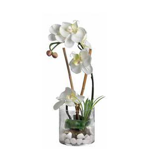 Orchidée en vase - Verre plastique polyester - H 36 cm - Blanc