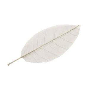 12 feuilles naturelles décoratives - 17 cm - Gris