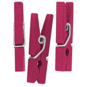 Lot de 50 pinces à linge en bois - 2,5 cm - Rose fuschia