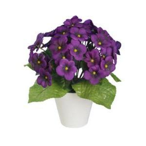 Violettes en pot blanc - H 23 cm
