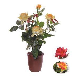 Rosier en pot, 3 fleurs et 2 boutons- Plastique et polyester - H 60 cm - Jaune Rouge Orange