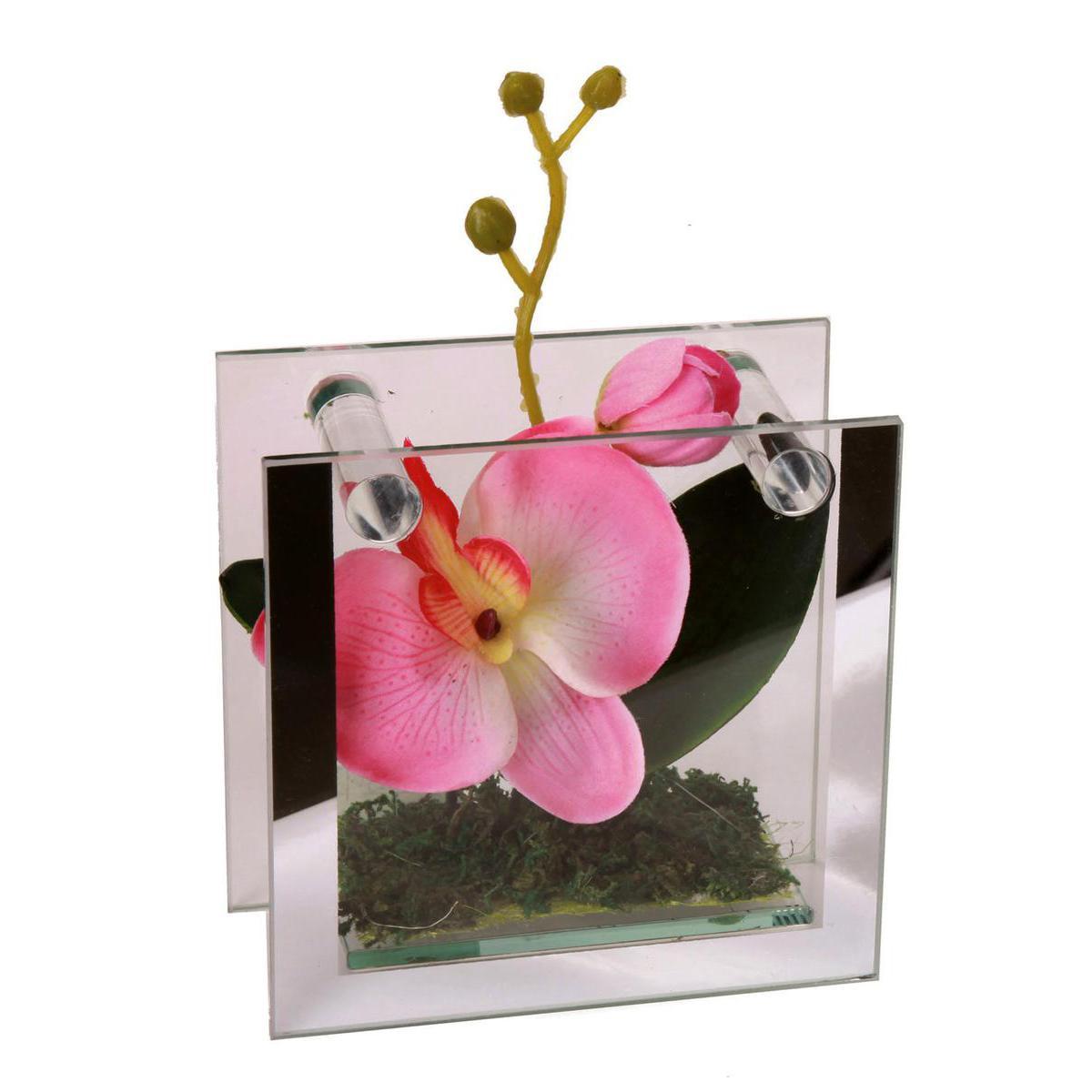 Orchidée en cadre - Verre, Plastique, Polyester - 12 x 6 x 14 cm - Rose