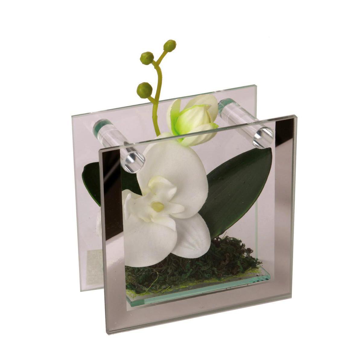 Orchidée en cadre - Verre, Plastique, Polyester - 12 x 6 x 14 cm - Blanc