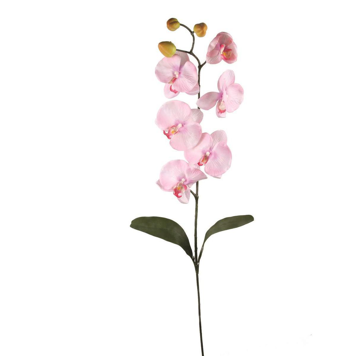 Tige d'orchidée - Plastique, Polyester - H 101 cm - Rose